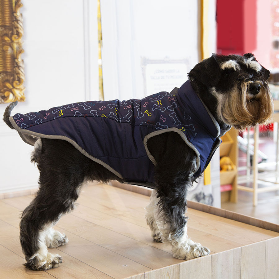 Outech Abrigo Azul con Estampado de Huesos para perros, , large Imagen numero 2